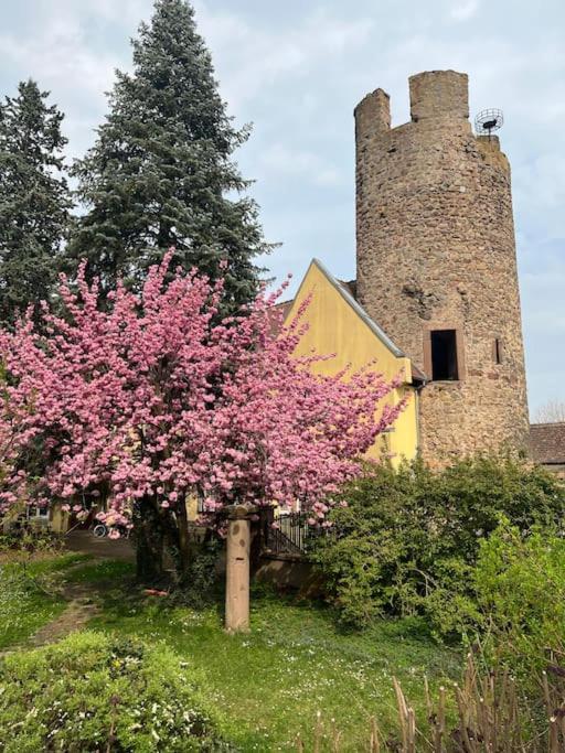 La Jolie Maison Bleue, Au Coeur De L'alsace Appartement