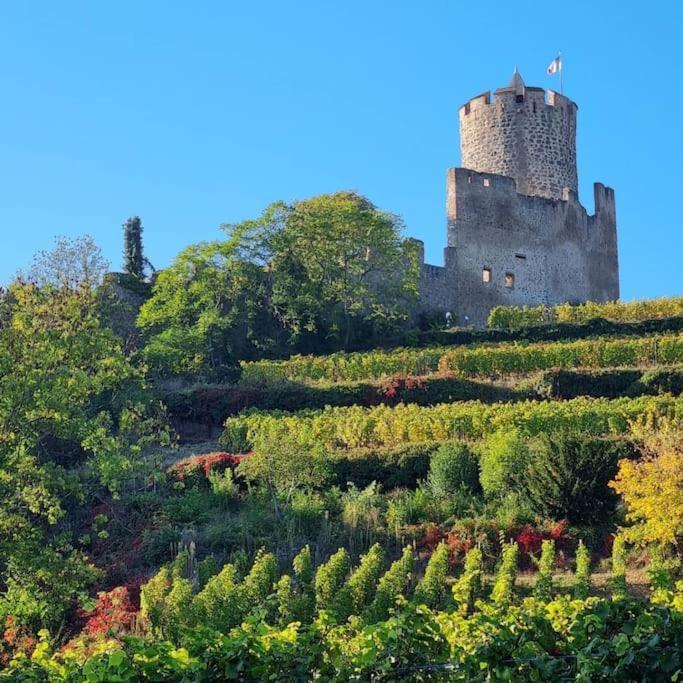 Appartamento La Jolie Maison Bleue, Au Coeur De L'alsace