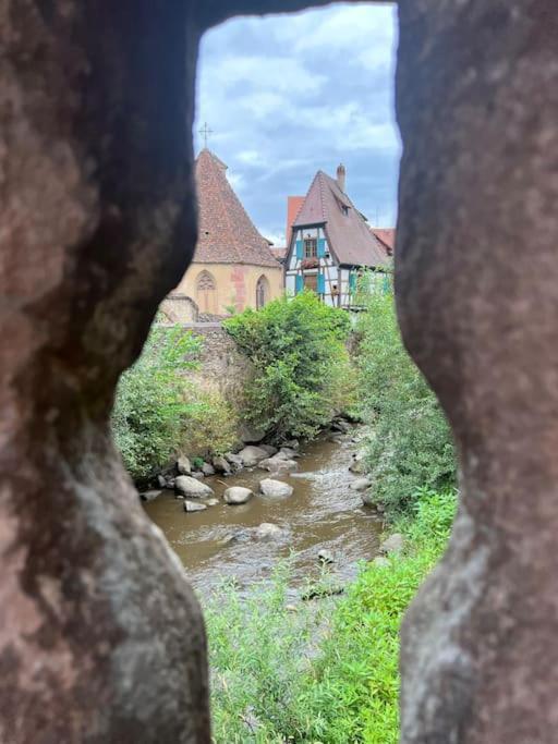 Appartamento La Jolie Maison Bleue, Au Coeur De L'alsace *