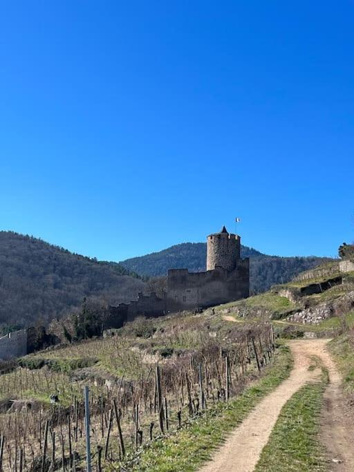 Appartement La Jolie Maison Bleue, Au Coeur De L'alsace